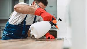 Emergency Pest Control Services in Waterloo, IA